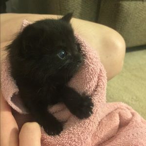 Meet your Posher, Tara