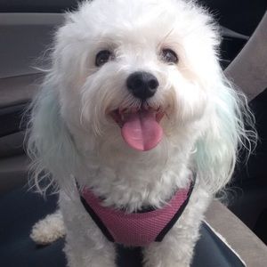 Meet your Posher, Corryn