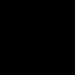 Meet your Posher, Rena