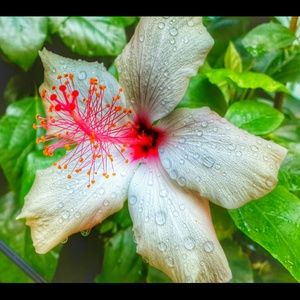 Meet your Posher, Antonia