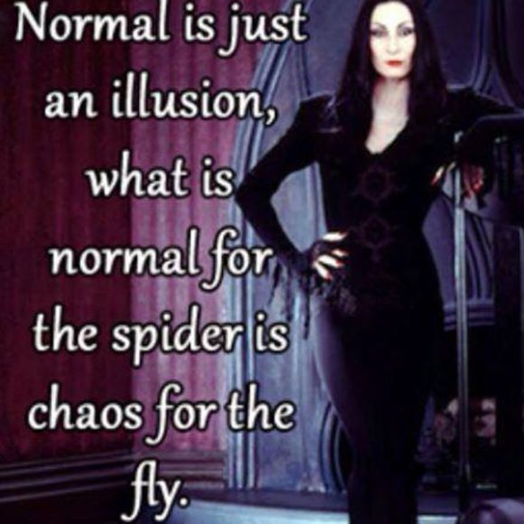 Meet your Posher, Lillian