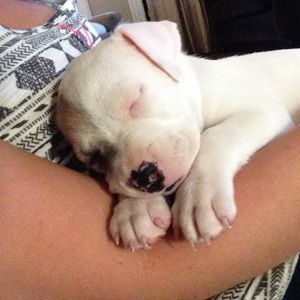 Meet your Posher, Katelyn