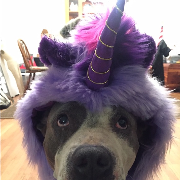 Welcome to my closet! I have lots of great pieces - Picture 2 of 6