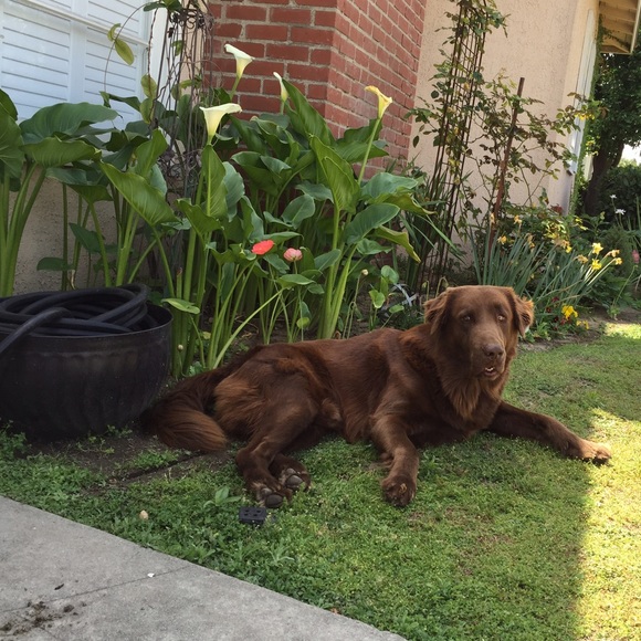 Welcome to my closet! I have lots of great pieces - Picture 3 of 6