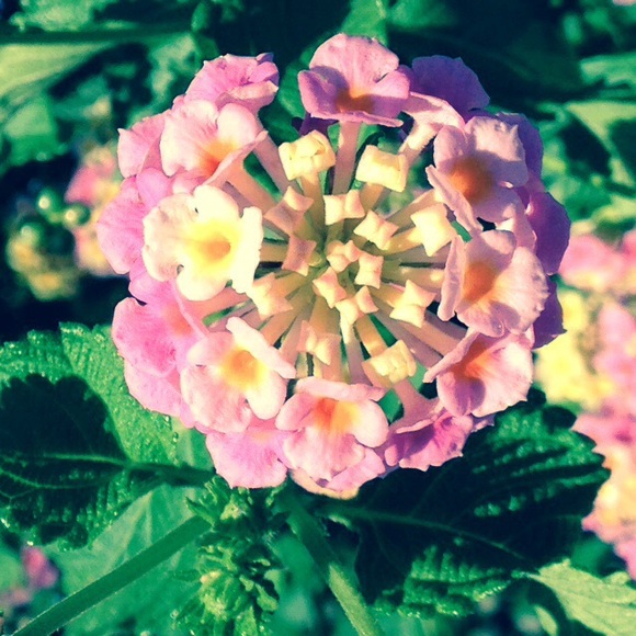 Meet the Posher Other - Meet your Posher, Emma