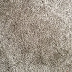 Meet your Posher, Marilyn