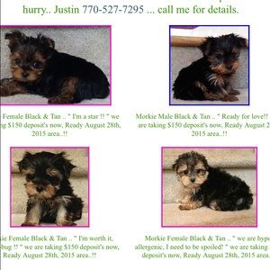 Meet your Posher, Naima