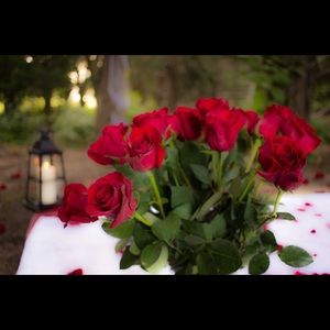 Meet your Posher, Mariah