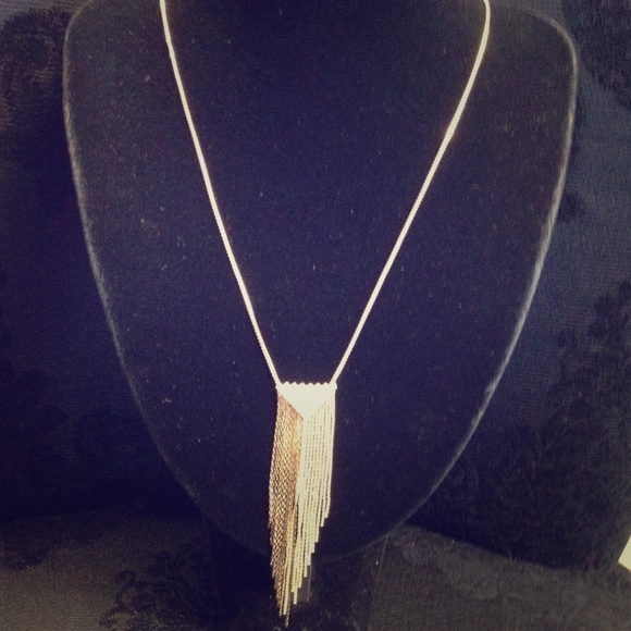 Gold color necklace with silver color fringe
