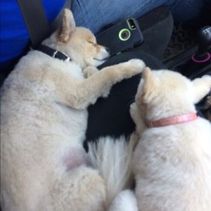 Meet your Posher, Teressa