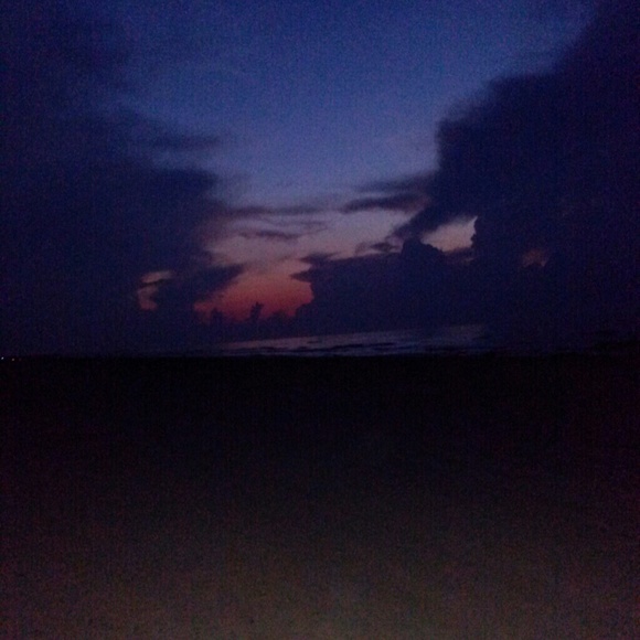 Meet your Posher, Priscilla