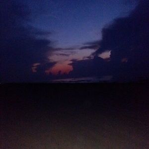 Meet your Posher, Priscilla