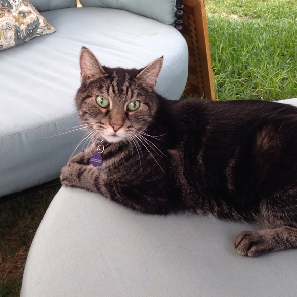 😊Suggested User/Top rated Seller/Posh Mentor!😘 - Picture 3 of 4