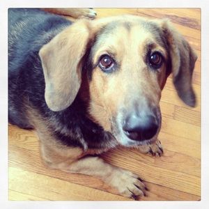 Meet your Posher, Allye