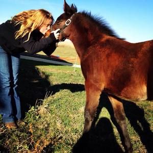 Meet your Posher, Felicity