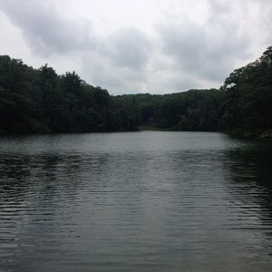 Meet your Posher, Maggie