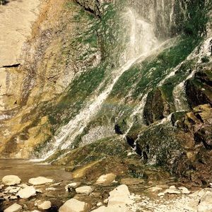 Meet your Posher, Jessie