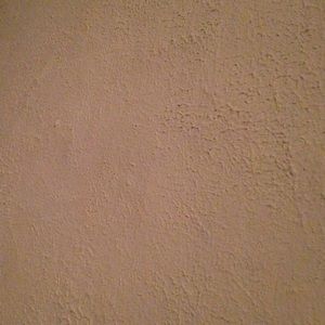 Meet your Posher, Paige