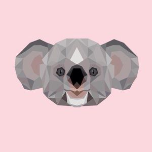 Meet your Posher, Sasha