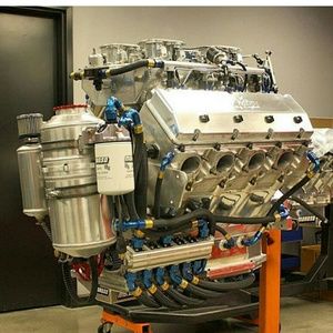 Meet your Posher, Taniel