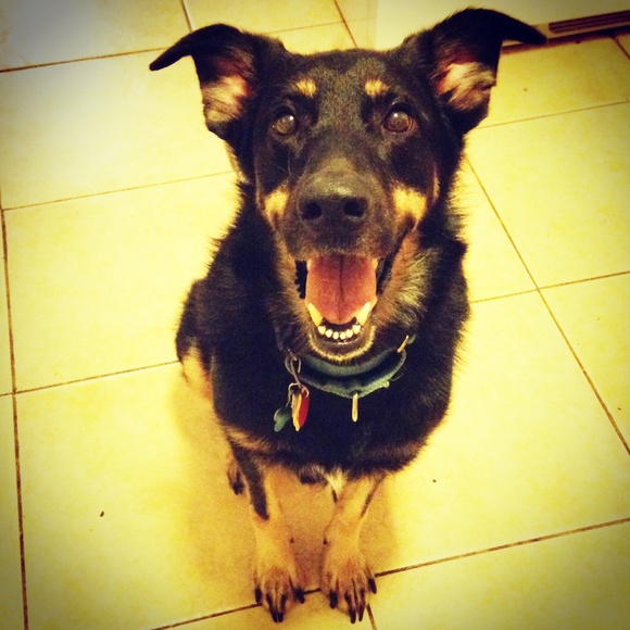 Meet your seller! 😉 - Picture 3 of 4