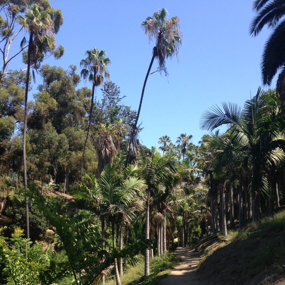 Meet your seller! 😉 - Picture 4 of 4