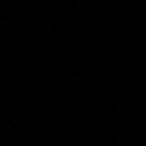 Meet your Posher, Bob