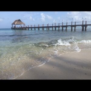 Meet your Posher, Wendy