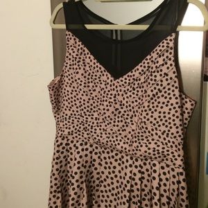LC Lauren Conrad polka dot dress