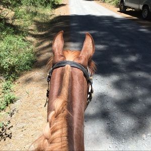 Meet your Posher, Chantel