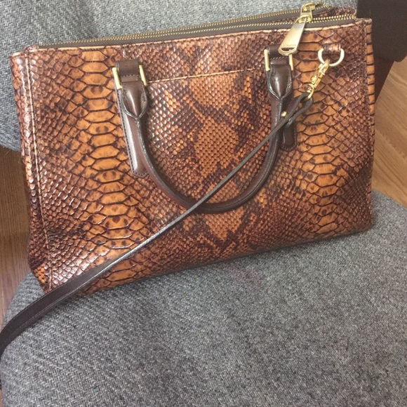 Brahmin Bags A Snakeskin Brahmin Purse Limited Edition Poshmark