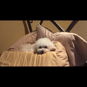 Meet your Posher, Rachel