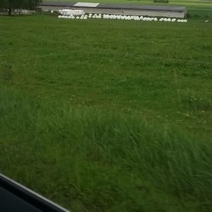 Meet your Posher, Ana