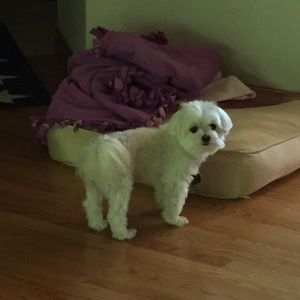 Meet your Posher, Cathy