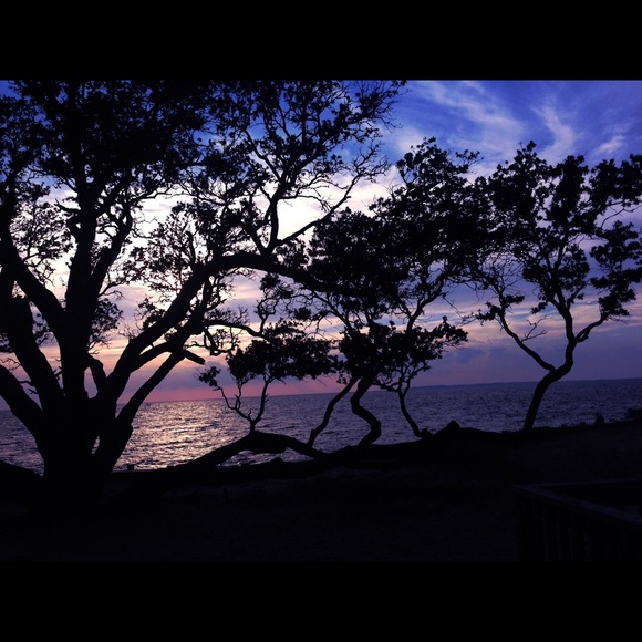 Meet your Posher, Laura - Picture 2 of 2