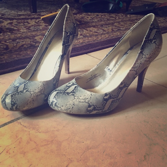 Snake Skin Heels