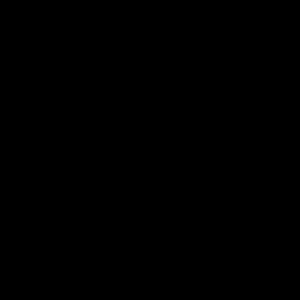 Meet your Posher, Monique