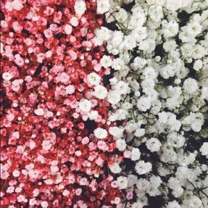 Meet your Posher, Eve