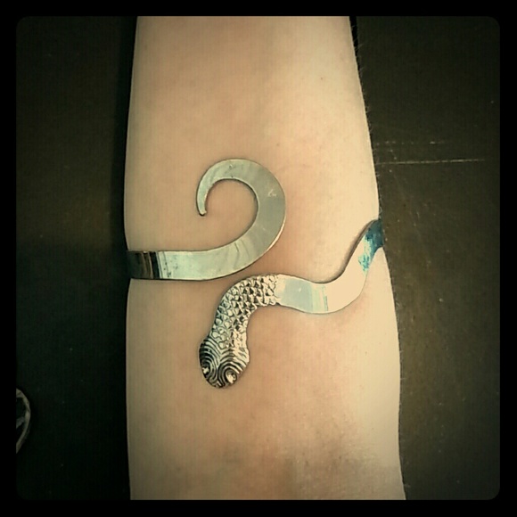 Silver Serpent Armband