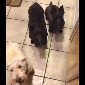 Meet your Posher, Nancy