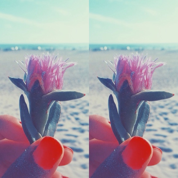 Meet your Posher, Jalene