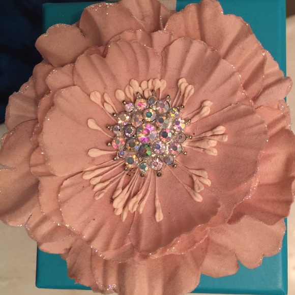 Meet your Posher, Ladybug - Picture 2 of 2