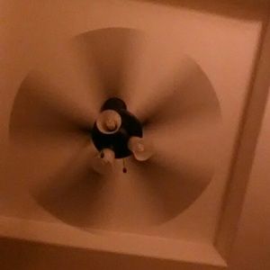 Meet your Posher, Gilbert