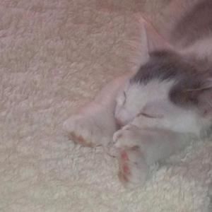 Meet your Posher, Erika