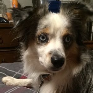 Meet your Posher, Linsey