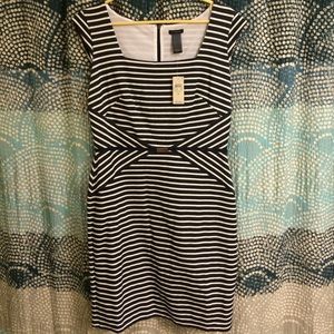 NWT Ann Taylor dress