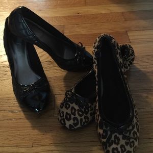 Bundle for Teff 🌷🌼