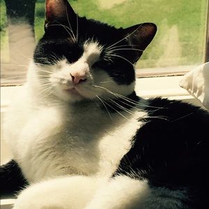 Meet your Posher, Sheila