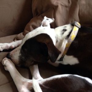 Meet your Posher, Lynnea