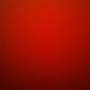 Meet your Posher, Travon